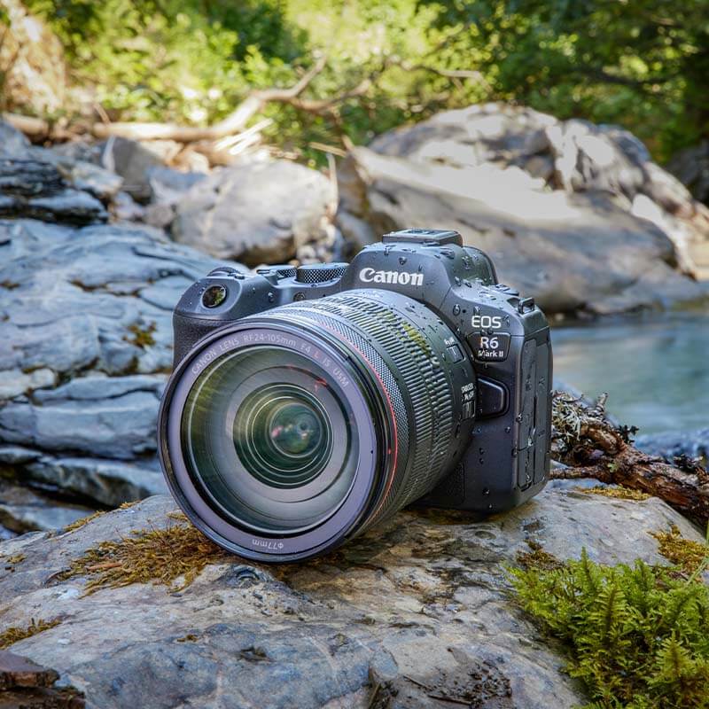 Canon R6 Mark II camera body used for field photography