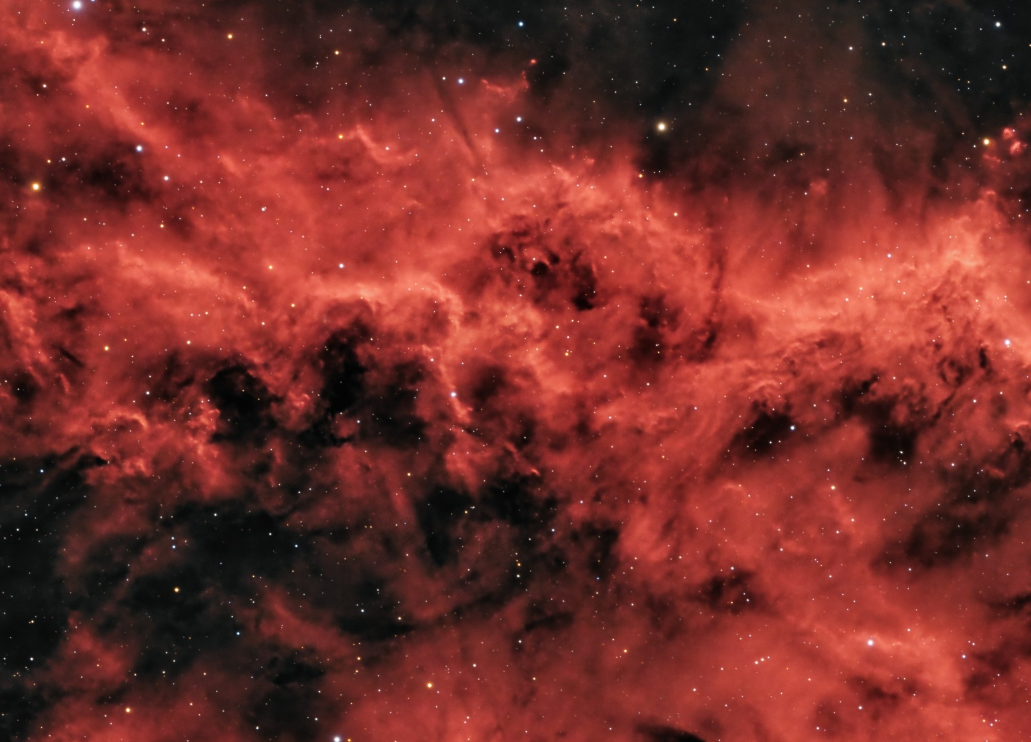 California Nebula