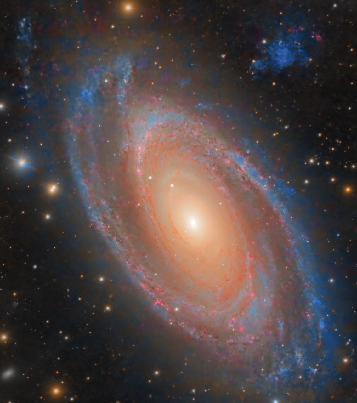 M81