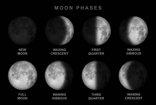 moon-phases