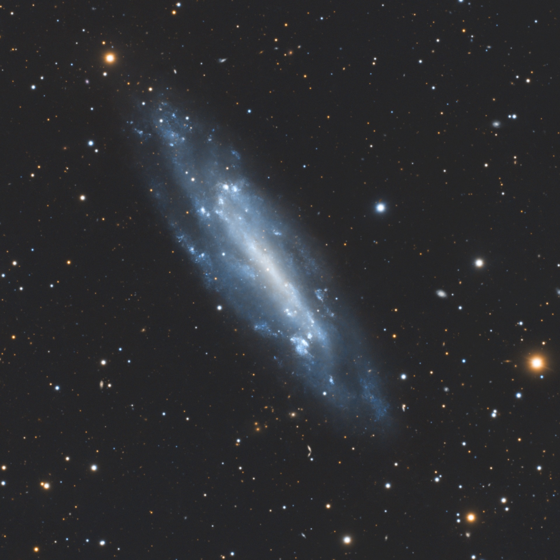 ngc 4236