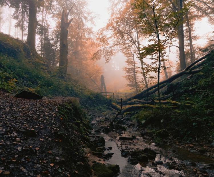 Berdorf Trail | © Adriano Anfuso