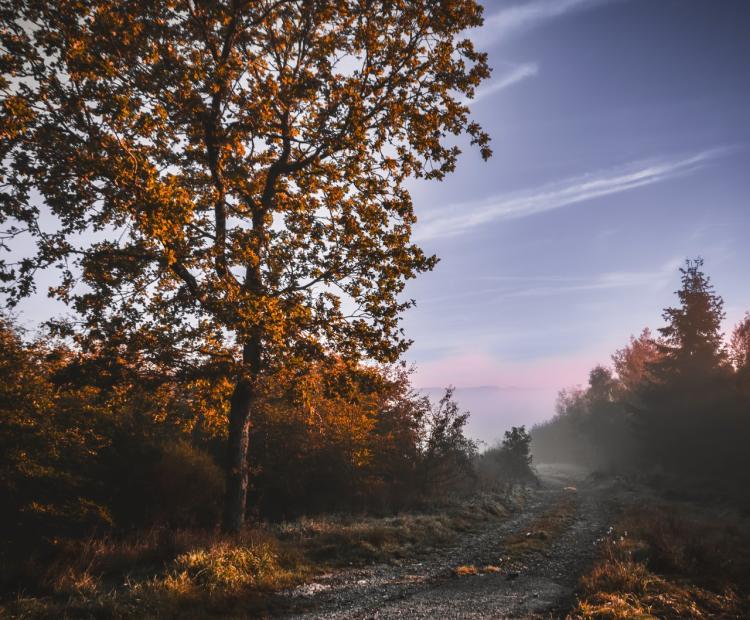 Opening Ground | © Adriano Anfuso