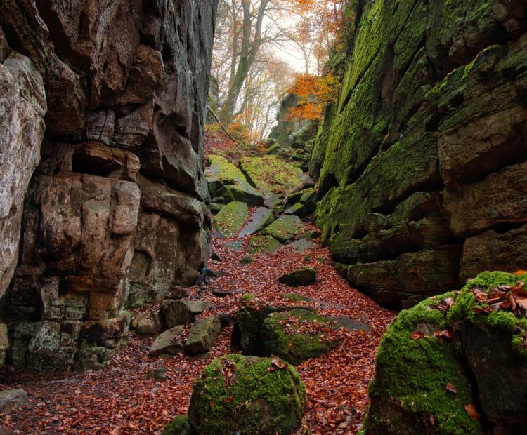Between Walls | © Adriano Anfuso