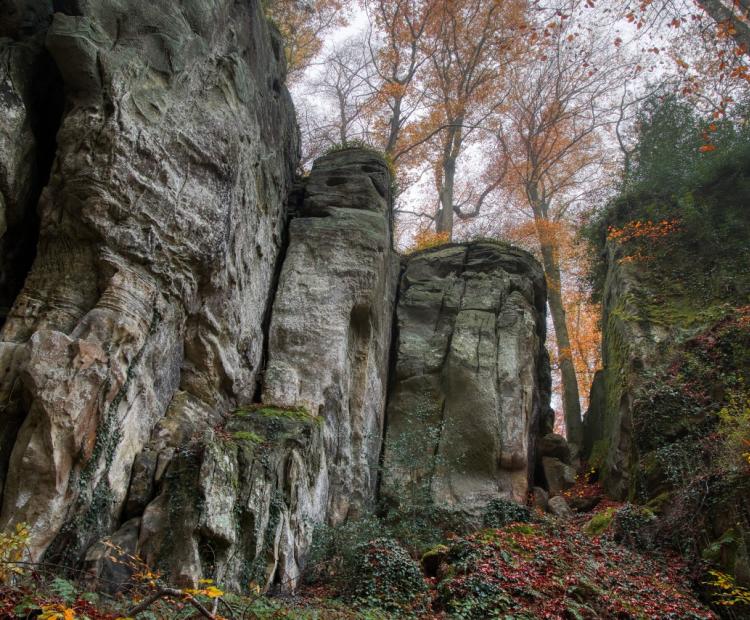 Standing Forms | © Adriano Anfuso