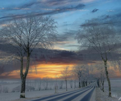 Frozen Solitude | © Adriano Anfuso