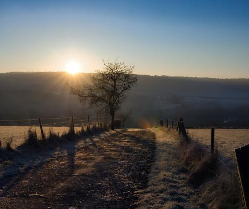 Winter Dawn | © Adriano Anfuso
