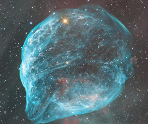 Dolphin Head Nebula | © Adriano Anfuso