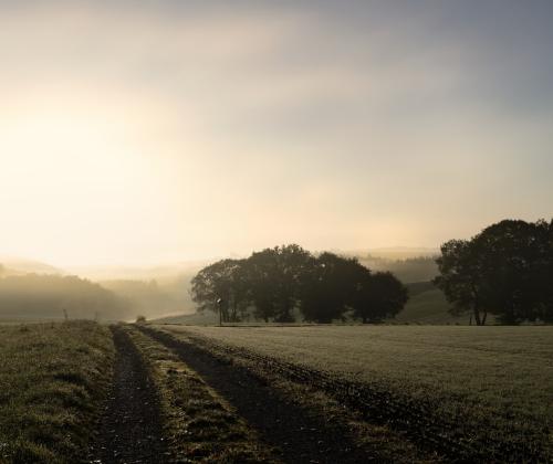 Early Light | © Adriano Anfuso